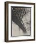 Bridge Reflection-Frances Gallogly-Framed Photographic Print