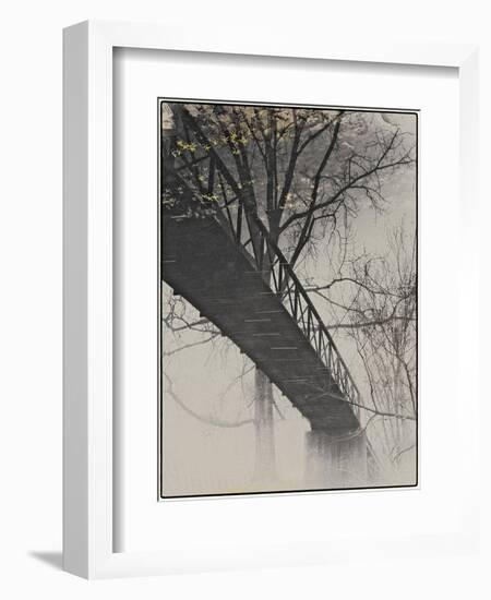 Bridge Reflection-Frances Gallogly-Framed Photographic Print