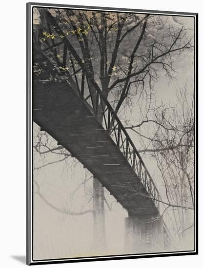 Bridge Reflection-Frances Gallogly-Mounted Photographic Print