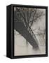 Bridge Reflection-Frances Gallogly-Framed Stretched Canvas