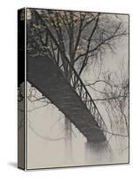 Bridge Reflection-Frances Gallogly-Stretched Canvas