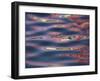 Bridge Reflections Create Abstract Patterns in Water, Socorro, New Mexico, USA-Arthur Morris-Framed Premium Photographic Print