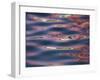 Bridge Reflections Create Abstract Patterns in Water, Socorro, New Mexico, USA-Arthur Morris-Framed Premium Photographic Print