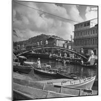 Bridge Spanning River in Middle of Town on the Island of Martinique-David Scherman-Mounted Premium Photographic Print