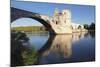 Bridge St. Benezet over Rhone River, Avignon, Vaucluse, Provence-Alpes-Cote D'Azu, France-Markus Lange-Mounted Photographic Print