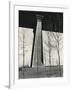 Bridge Support and Trees, New York, 1946-Brett Weston-Framed Photographic Print