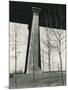 Bridge Support and Trees, New York, 1946-Brett Weston-Mounted Photographic Print