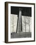 Bridge Support and Trees, New York, 1946-Brett Weston-Framed Photographic Print