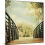 Bridge to Paradise-Sylvia Coomes-Mounted Photographic Print