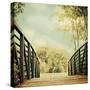 Bridge to Paradise-Sylvia Coomes-Stretched Canvas