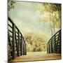 Bridge to Paradise-Sylvia Coomes-Mounted Photographic Print