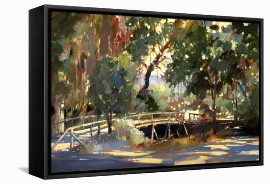 Bridge to the Light-Darrell Hill-Framed Stretched Canvas