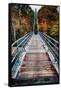 Bridge To The Nature, New Hampshire-George Oze-Framed Stretched Canvas