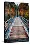 Bridge To The Nature, New Hampshire-George Oze-Stretched Canvas