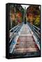 Bridge To The Nature, New Hampshire-George Oze-Framed Stretched Canvas