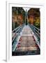 Bridge To The Nature, New Hampshire-George Oze-Framed Photographic Print