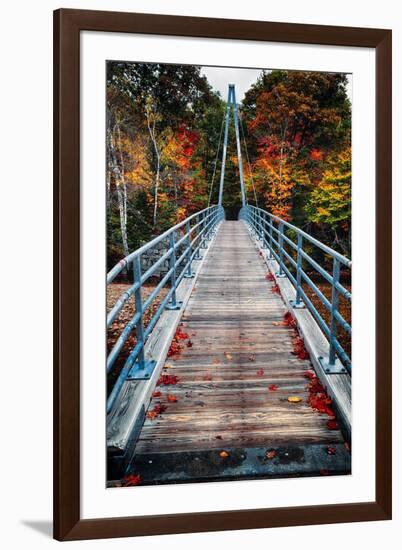 Bridge To The Nature, New Hampshire-George Oze-Framed Photographic Print