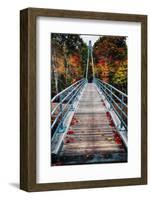 Bridge To The Nature, New Hampshire-George Oze-Framed Photographic Print