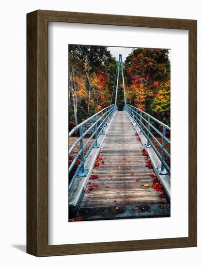 Bridge To The Nature, New Hampshire-George Oze-Framed Photographic Print