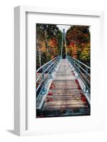 Bridge To The Nature, New Hampshire-George Oze-Framed Photographic Print