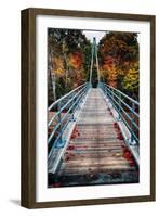 Bridge To The Nature, New Hampshire-George Oze-Framed Photographic Print