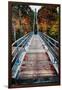 Bridge To The Nature, New Hampshire-George Oze-Framed Premium Photographic Print