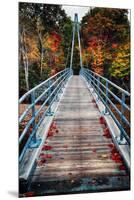 Bridge To The Nature, New Hampshire-George Oze-Mounted Premium Photographic Print