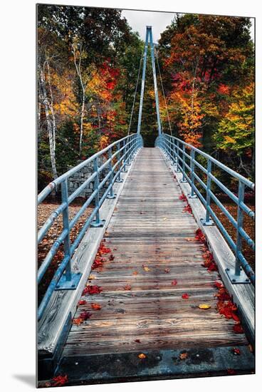 Bridge To The Nature, New Hampshire-George Oze-Mounted Premium Photographic Print