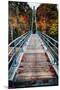 Bridge To The Nature, New Hampshire-George Oze-Mounted Premium Photographic Print