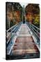 Bridge To The Nature, New Hampshire-George Oze-Stretched Canvas
