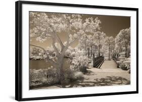 Bridge & Trees At Japanese Gardens, Delray Beach, Florida '10-Monte Nagler-Framed Photographic Print