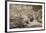 Bridge & Trees At Japanese Gardens, Delray Beach, Florida '10-Monte Nagler-Framed Photographic Print