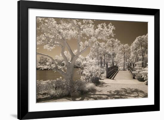 Bridge & Trees At Japanese Gardens, Delray Beach, Florida '10-Monte Nagler-Framed Photographic Print