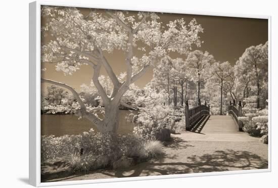 Bridge & Trees At Japanese Gardens, Delray Beach, Florida '10-Monte Nagler-Framed Photographic Print