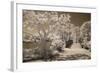 Bridge & Trees At Japanese Gardens, Delray Beach, Florida '10-Monte Nagler-Framed Photographic Print