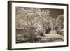 Bridge & Trees At Japanese Gardens, Delray Beach, Florida '10-Monte Nagler-Framed Photographic Print