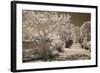 Bridge & Trees At Japanese Gardens, Delray Beach, Florida '10-Monte Nagler-Framed Photographic Print