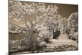 Bridge & Trees At Japanese Gardens, Delray Beach, Florida '10-Monte Nagler-Mounted Photographic Print