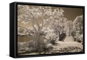 Bridge & Trees At Japanese Gardens, Delray Beach, Florida '10-Monte Nagler-Framed Stretched Canvas