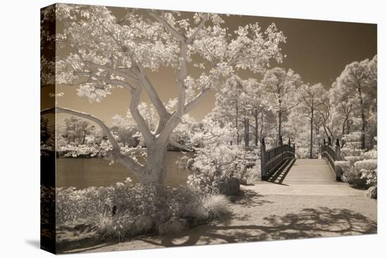 Bridge & Trees At Japanese Gardens, Delray Beach, Florida '10-Monte Nagler-Stretched Canvas