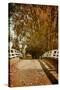 Bridge under Trees in Autumn-Steve Allsopp-Stretched Canvas