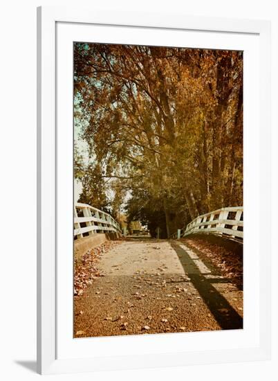 Bridge under Trees in Autumn-Steve Allsopp-Framed Photographic Print