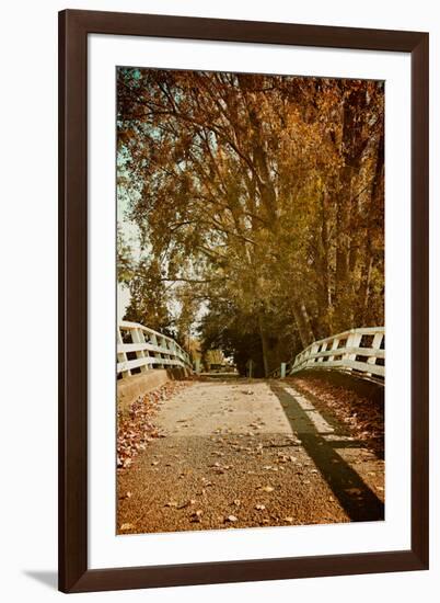 Bridge under Trees in Autumn-Steve Allsopp-Framed Photographic Print