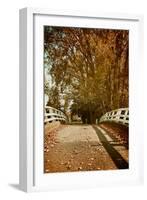 Bridge under Trees in Autumn-Steve Allsopp-Framed Photographic Print