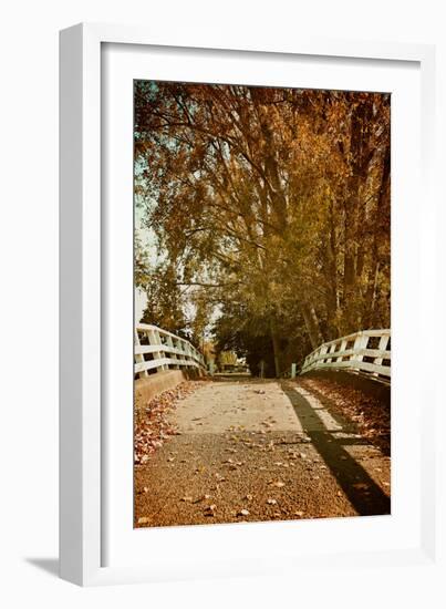 Bridge under Trees in Autumn-Steve Allsopp-Framed Photographic Print