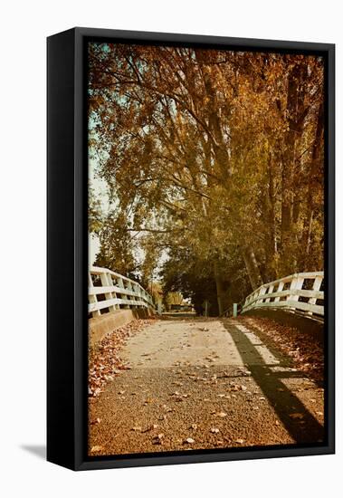 Bridge under Trees in Autumn-Steve Allsopp-Framed Stretched Canvas