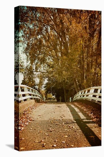 Bridge under Trees in Autumn-Steve Allsopp-Stretched Canvas