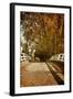 Bridge under Trees in Autumn-Steve Allsopp-Framed Photographic Print