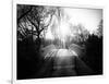 Bridge View in Central Park-Philippe Hugonnard-Framed Photographic Print