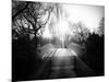 Bridge View in Central Park-Philippe Hugonnard-Mounted Photographic Print